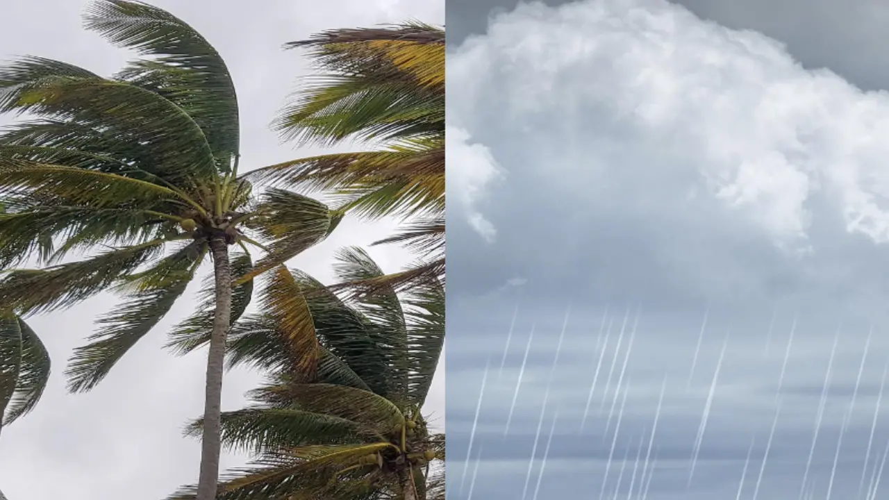 رياح قوية وأمطار رعدية تضرب مناطق متفرقة مع بداية الأسبوع الجديد